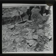 Böhl glass slide 29./871